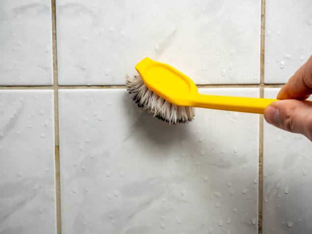 Best Professional Mold Removal  in Tilton Northfield, NH