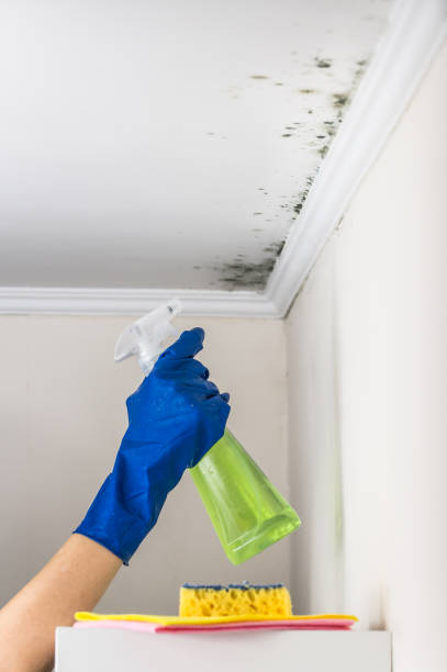 Best Mold Testing  in Tilton Northfield, NH